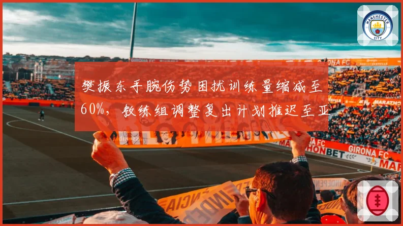 樊振东手腕伤势困扰训练量缩减至60%，教练组调整复出计划推迟至亚锦赛