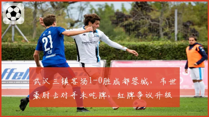 武汉三镇客场1-0胜成都蓉城，韦世豪肘击对手未吃牌，红牌争议升级为足协问责